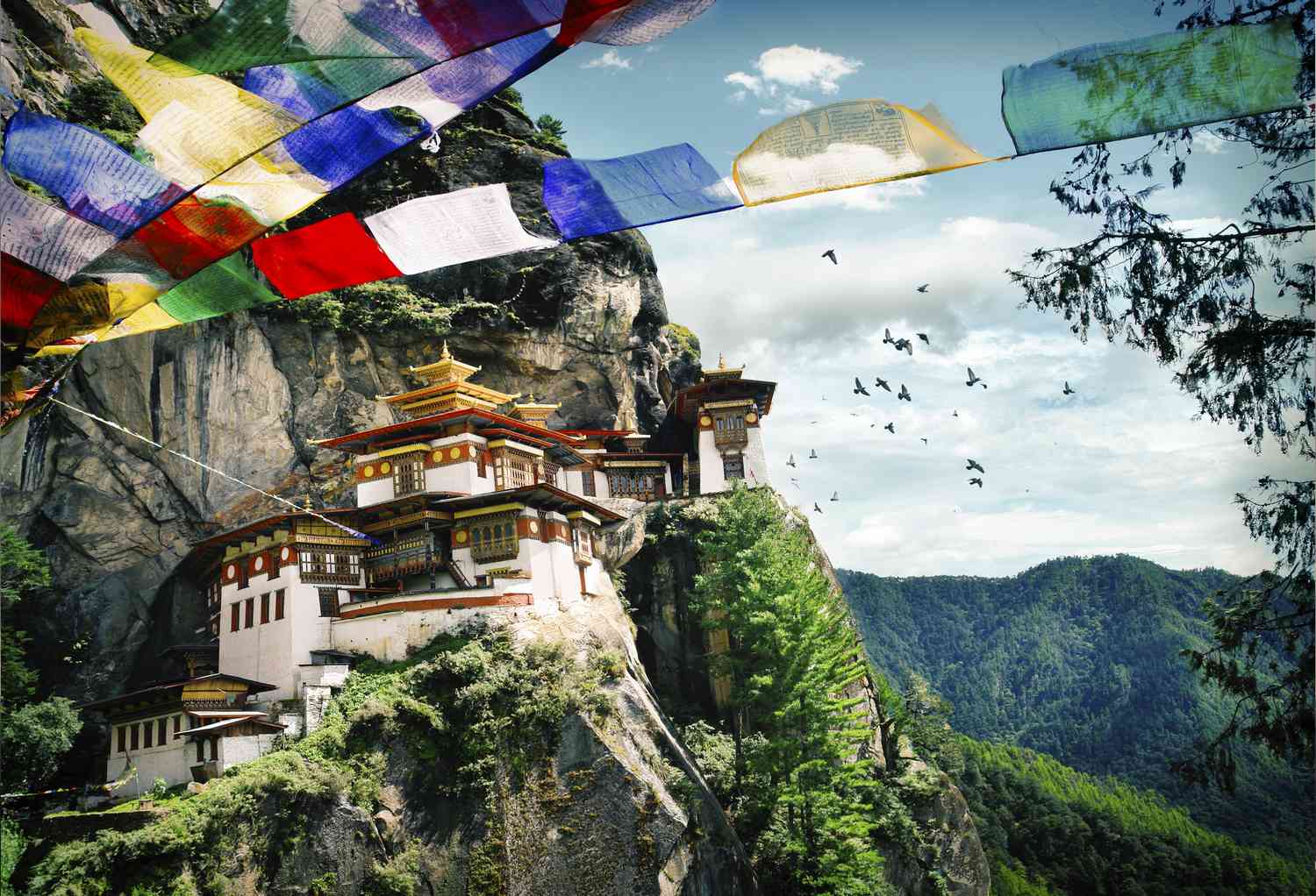 facts about bhutan 588ac1ab5f9b5874ee96077f - Home One